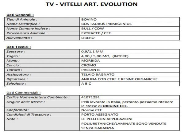 EVOLUTION - immagine 3